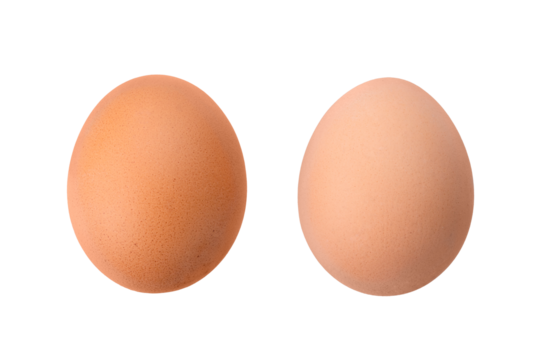 Brown chicken egg isolated on white background. Full Depth of field. Focus stacking. PNG