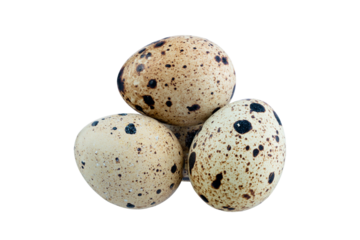 Brown quail egg isolated on white background. Full Depth of field. Focus stacking. PNG