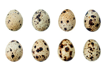 Brown quail egg isolated on white background. Full Depth of field. Focus stacking. PNG - Powered by Adobe