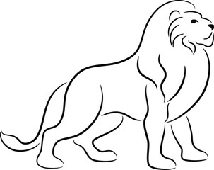 illustration of a lion, isolated. Wild animal