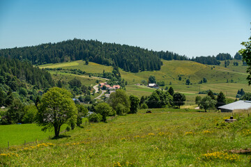 Ibach Schwarzwald 1