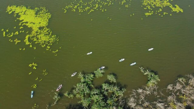 Aerial View of Supboarders Serenely Floating Across the Lake