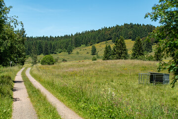 Ibach Schwarzwald 3