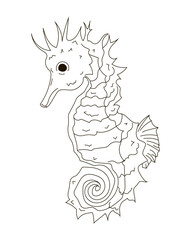 Illustration of a seahorse in line style. Vector illustration of fish isolated on white background.