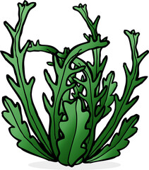 cartoon seaweed