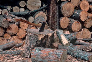 Wood Pile