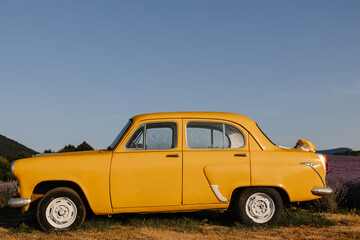 Fototapeta na wymiar Yellow retro car in a lavender field in the morning with fog and sun.