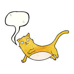 speech bubble textured cartoon cat