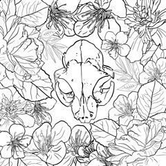Stylized predatory animal skull and flowers hand drawn illustration. Animal Skull and floral frame isolated on white. For clothing print, postcards, designer, cover, tattoo design boho outline style.