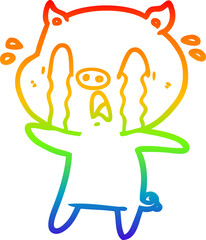rainbow gradient line drawing crying pig cartoon