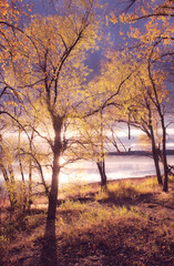 Fototapeta na wymiar Autumn trees along Lake Champlain in Miton, Vermont.