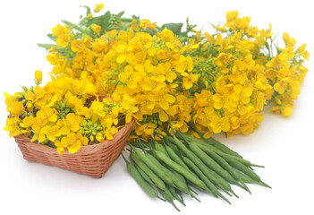 Fototapeta na wymiar Closeup of mustard flowers
