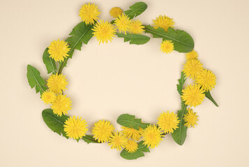 Flowers composition. Pattern made of yellow dandelion flowers and green leaves on beige background which lay in circle. white paper. Spring or summer banner. Flat lay, top view
