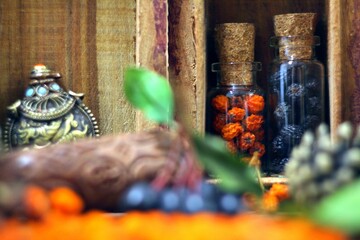 Wild berries dried fruits herbal shop 