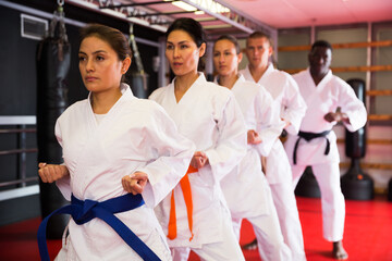 Polyethnic men and women wearing kimono and belts. Group of people doing kata during karate...