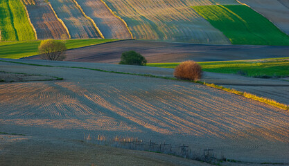Young green cereals. Plowed fields. Ranges of fields intersected by numerous borders. Low shining...
