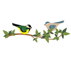 tree branch and birds