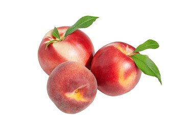 Fototapeta na wymiar Nectarines and peach isolated on white background