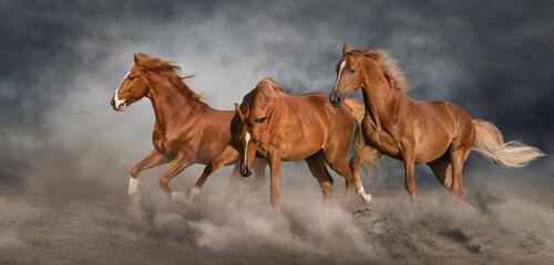Three red horse free run in desert