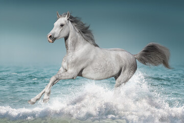 Fototapeta na wymiar white horse running