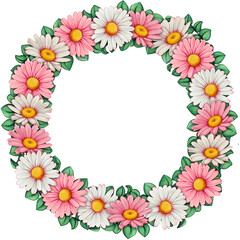 Fototapeta na wymiar watercolor floral wreath of pink and white daisies