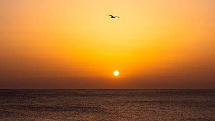 The wild, pure beautiful nature 
