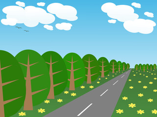 landscape with road and trees