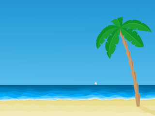 Fototapeta na wymiar beach with palm tree