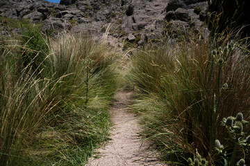 View of the empty hiking path across the grassland and rocky hills. 