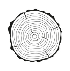 cross section of tree