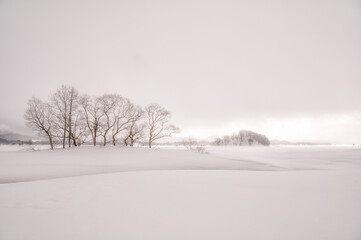福島県北塩原村　檜原湖の雪原