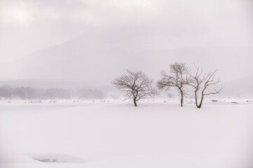 福島県北塩原村　檜原湖の雪原