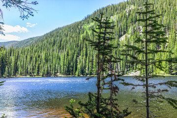 Beaver lake landscape spruce trees from hiking trail in Beaver Creek ski resort near Avon, Colorado...