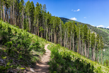 Footpath trekking path with nobody in Royal Elk to Beaver lake hiking trail in Beaver Creek, Avon,...