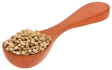 Seeds of Cannabis or hemp