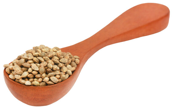 Everything You Need to Know About Feeding Your Dog Sesame Seeds Sesame Seeds for Dogs: Learn the Nutritional Value and How to Add Them to Your Dog's Diet Safely