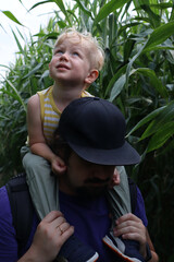 Dad and son in the corn maze