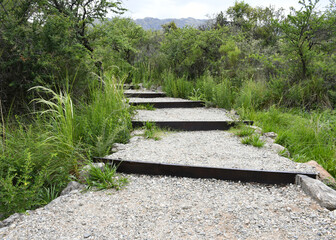 a ladder on the mountain path