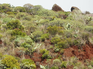 paisagem, montagna, natureza, perspectiva, vale, viagem, panorama, turismo, madeira, portugal, vista, 