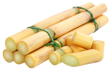 Piece of sugarcane