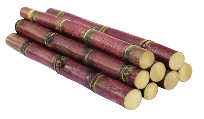 Fresh red sugarcane