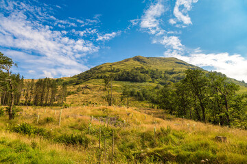Summer in Scotland highlands, United Kingdom
