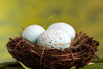 Easter blue eggs in a bird's nest close-up on a green background, Happy Easter holiday. Close-up, selective focus. Space for text.