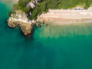 Foto op Plexiglas Coromandel Peninsula shining on a summers day along the coast line in New Zealand © Michael