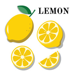 illustrasion of lemon set