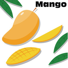 illustrasion of mango set