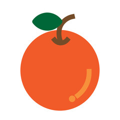Orange  Flat Icon