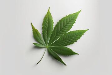 Hemp or cannabis leaf on white background. Generative AI