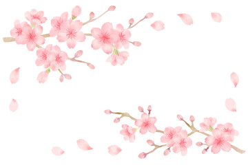 枝に咲いている桜の水彩風パーツイラストセット　主線なし、ベクター