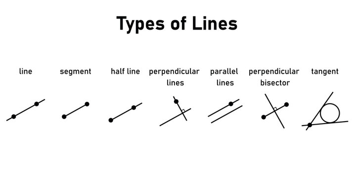 Types of lines. Line,segment, half line, perpendicular lines, parallel lines, perpendicular bisector and tangent. Vector illustration isolated on white background.